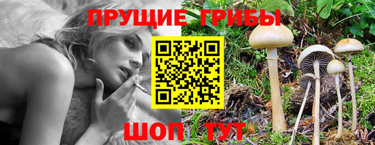 Химки  Галлюциногенные грибы MAGIC MUSHROOMS  Вход с VPN 